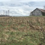 Kentucky Co-Ops Applaud Trump Clean Power Plan Executive Order