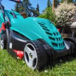 Mowing through lawn-care choices