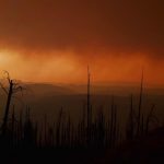 Co-ops Apply Lessons Learned From Catastrophic Wildfires